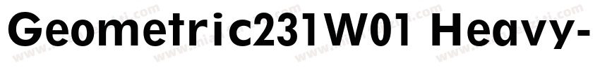 Geometric231W01 Heavy字体转换